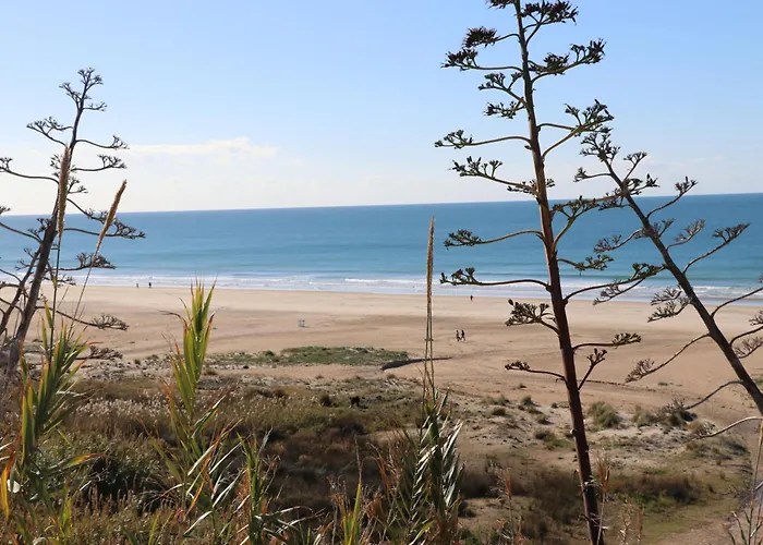 Cadiz Conil De La Frontera