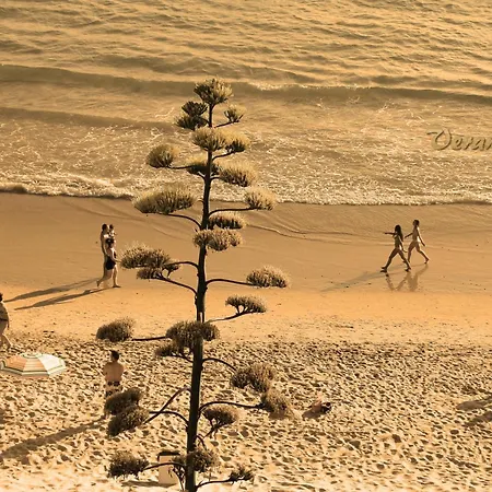 Cadiz * Коніль-де-ла-Фронтера